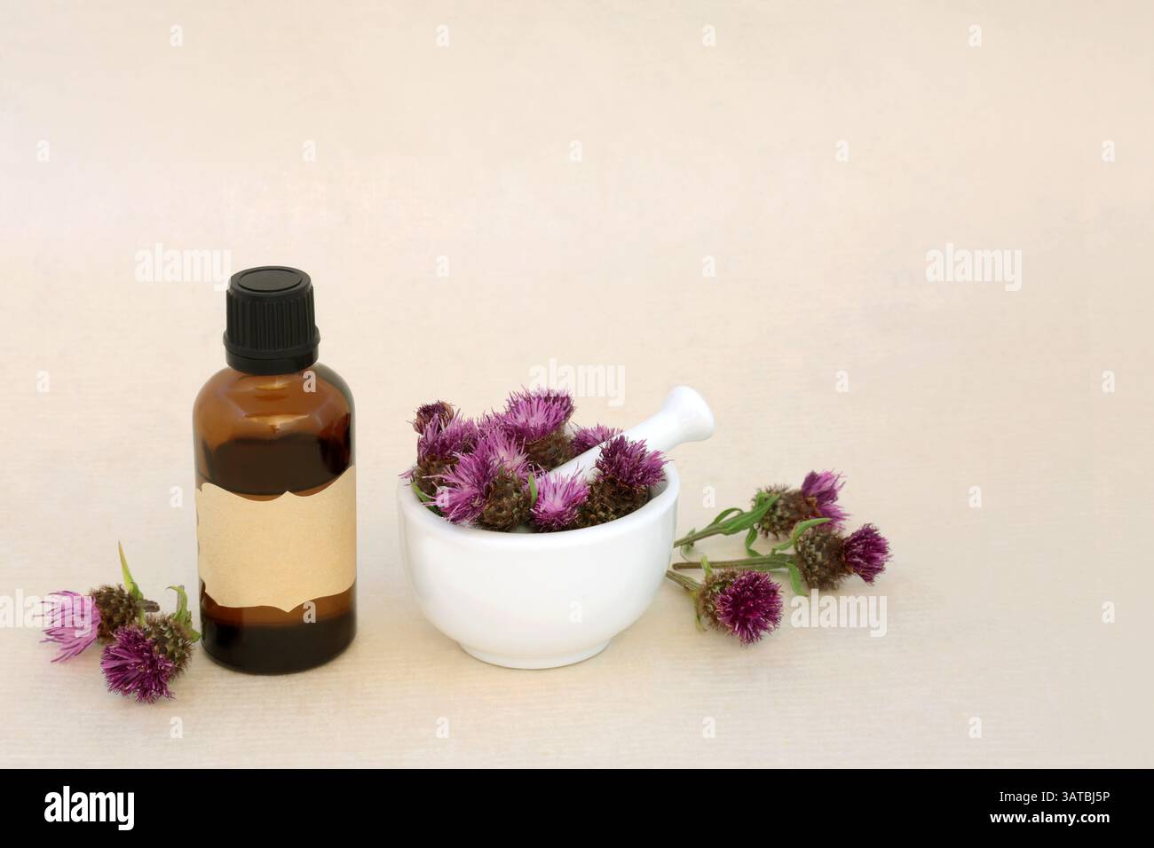 Cardo da latte erbe naturali con bottiglia di olio essenziale e Malta su fondo di carta di canapa. Trattamento disintossicante alternativo per il supporto epatico Foto Stock