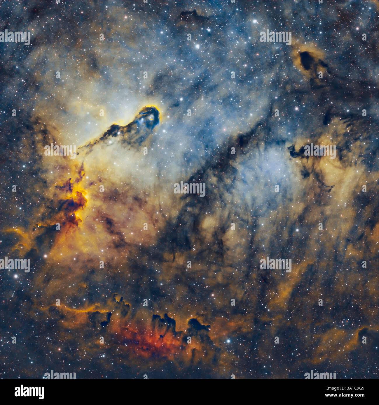 La nebulosa del tronco dell'Elefante è una concentrazione di gas interstellare e polvere all'interno della regione di gas ionizzato IC 1396 molto più grande situata nella constella Foto Stock
