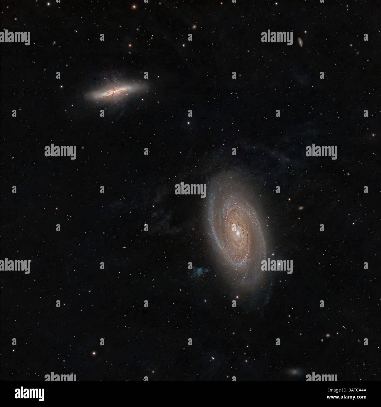 Messier 81, nell'Ursa maggiore, è una delle galassie a spirale più visibili del cielo. Forma una coppia fisica con il suo vicino, M82, ed è la dominante Foto Stock