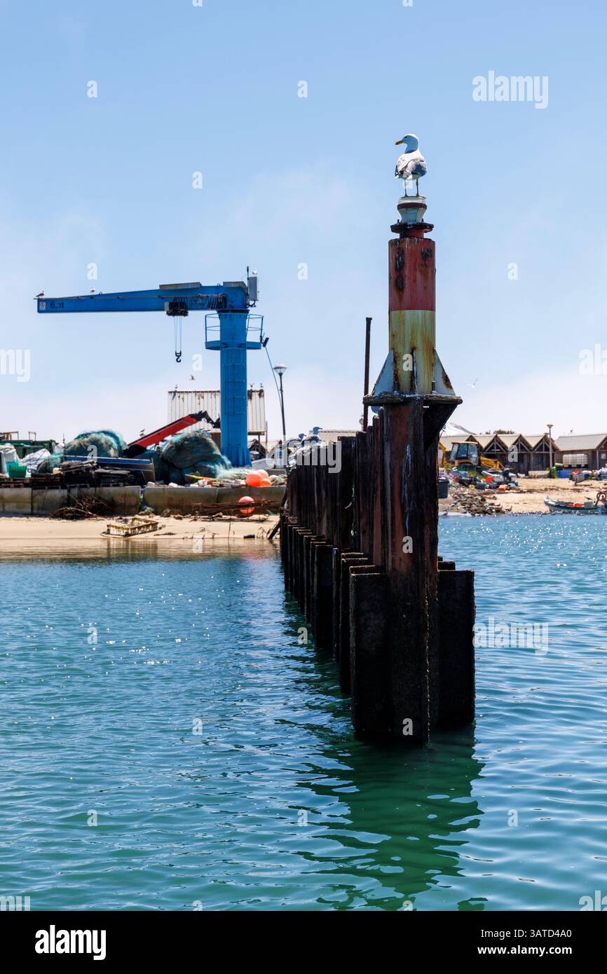 Porto di pesca sull'isola di Culatra, regione dell'Algarve, Portogallo Foto Stock