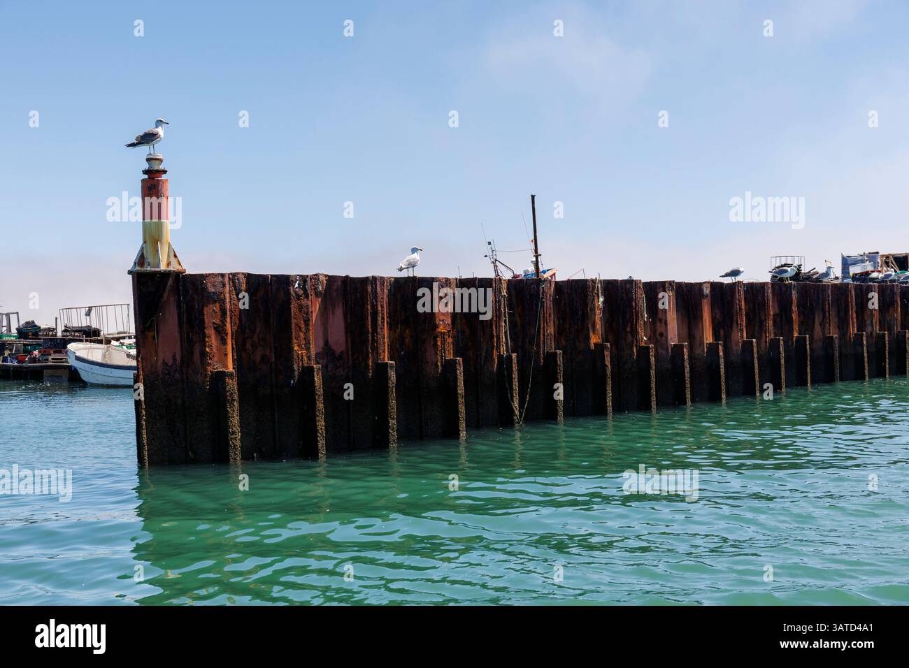 Un gabbiano arroccato su un faro del porto sull'isola di Culatra in Portogallo Foto Stock