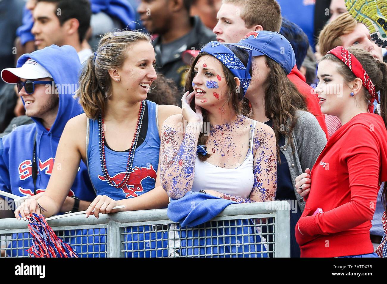 5 ottobre 2013 - Dallas, Texas, U. S - i tifosi dei Southern Methodist Mustangs guardano l'azione durante la partita tra i Rutgers Scarlet Knights e i SMU Mustangs al Gerald J. Ford Stadium di Fort Worth, Texas. Rutgers sconfigge SMU 55 a 52 in tripla OT. (Immagine di credito: © Dan Wozniak/ZUMAPRESS.com) Foto Stock