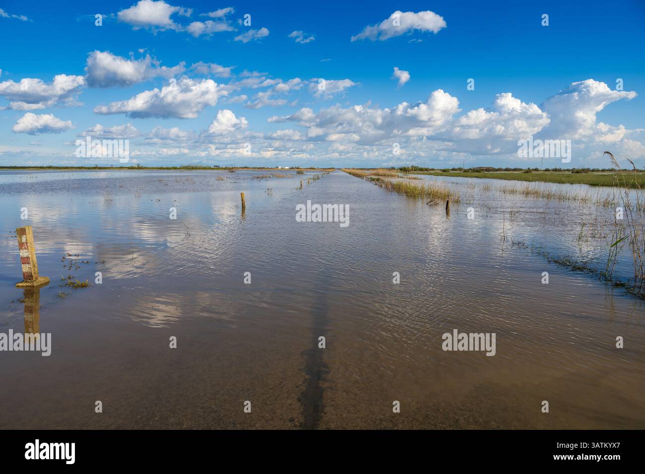 El vado de los Vaqueros è sommerso dalle acque alluvionali del Brazo de la Torre dopo le forti piogge in Andalusia, Spagna. Foto Stock