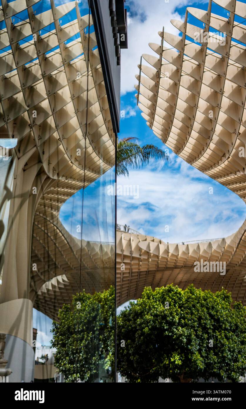 Il Metropol Parasol, conosciuto come Las Setas, proietta un'impressionante riflessione in una finestra del ristorante lungo via Puente y Pellon a Siviglia. Foto Stock