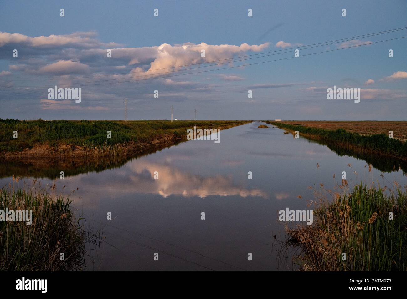 Sfumature morbide del crepuscolo migliorano la tranquillità dei canali di irrigazione di Doñana, creando un paesaggio sereno e pittoresco. Foto Stock