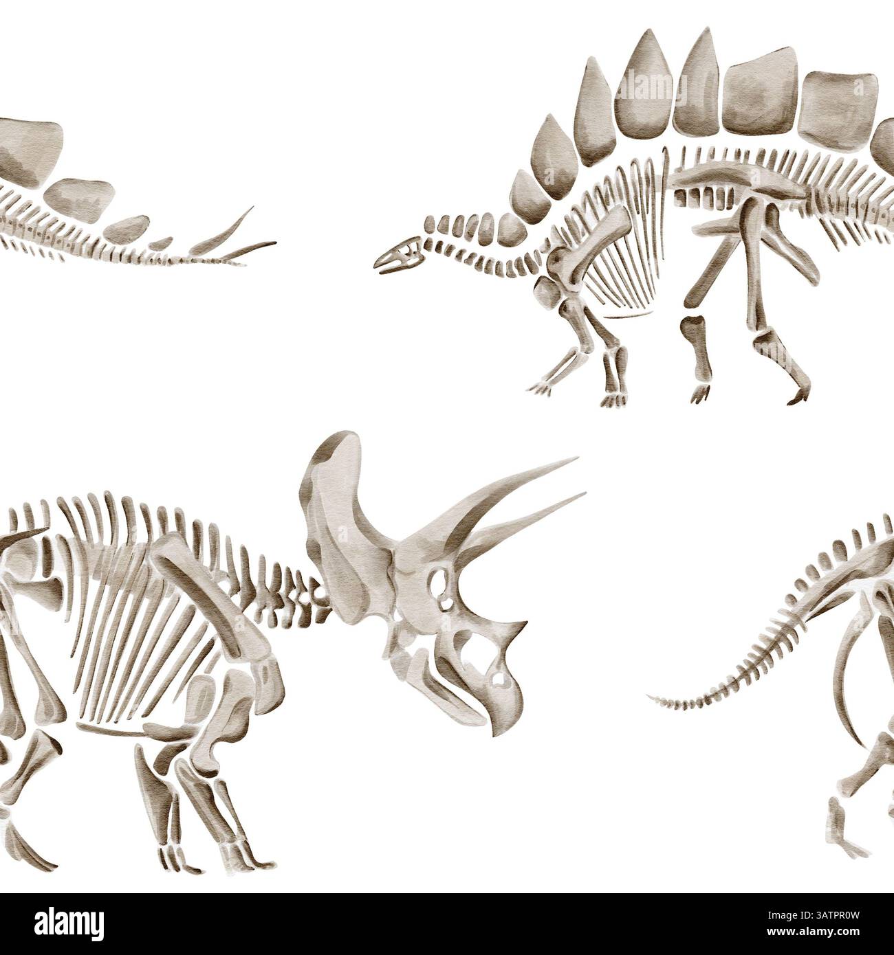 Schema senza cuciture con scheletri di dinosauro. Traceratops e diplodocus. Rettili e animali preistorici. Ossa e fossili dell'era giurassica Foto Stock