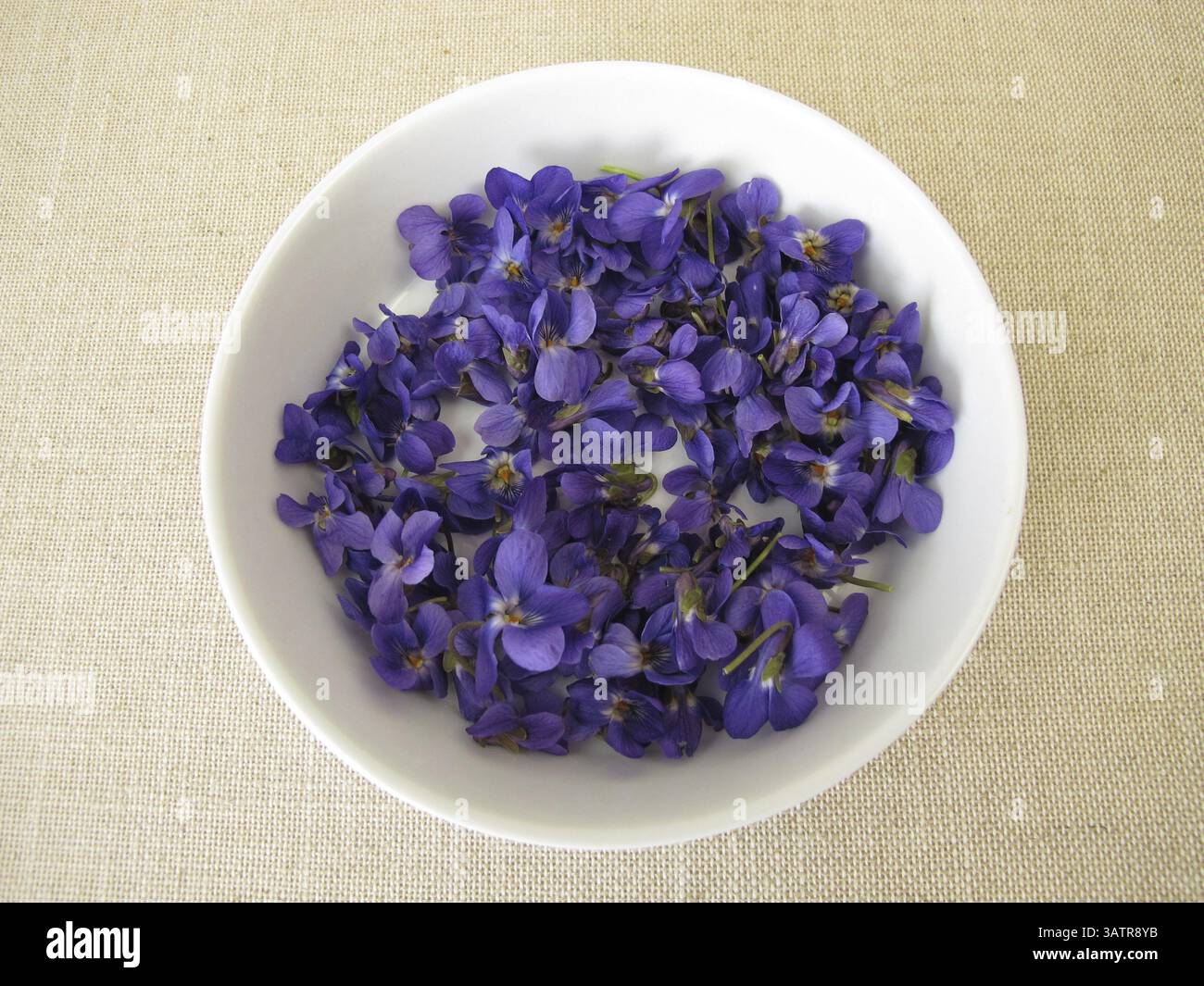 Violette profumate appena raccolte, fiori di violette profumate in una ciotola poco profonda Foto Stock