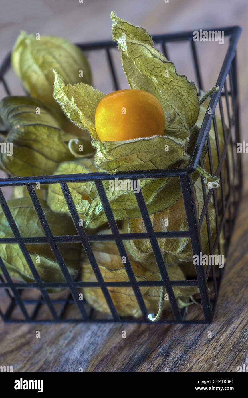 Uva spina del Capo con imballaggio Foto Stock