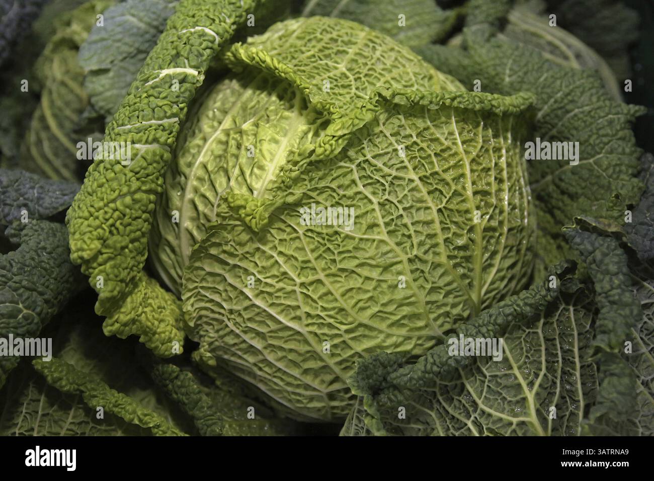 Cablaggio Foto Stock