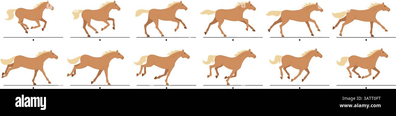 Cornici animate cartoni animati. Galoppo, sequenza del ciclo di movimento dell'andatura dei cavalli, canter animato. Cavallo da corsa che esegue un vettore isolato Illustrazione Vettoriale