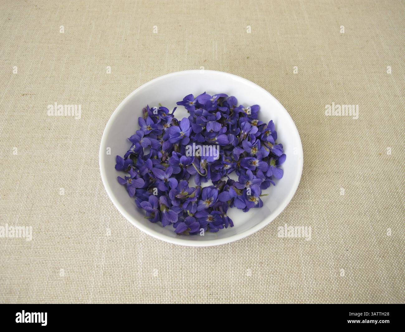 Violette profumate appena raccolte, fiori di violette profumate in una ciotola poco profonda Foto Stock