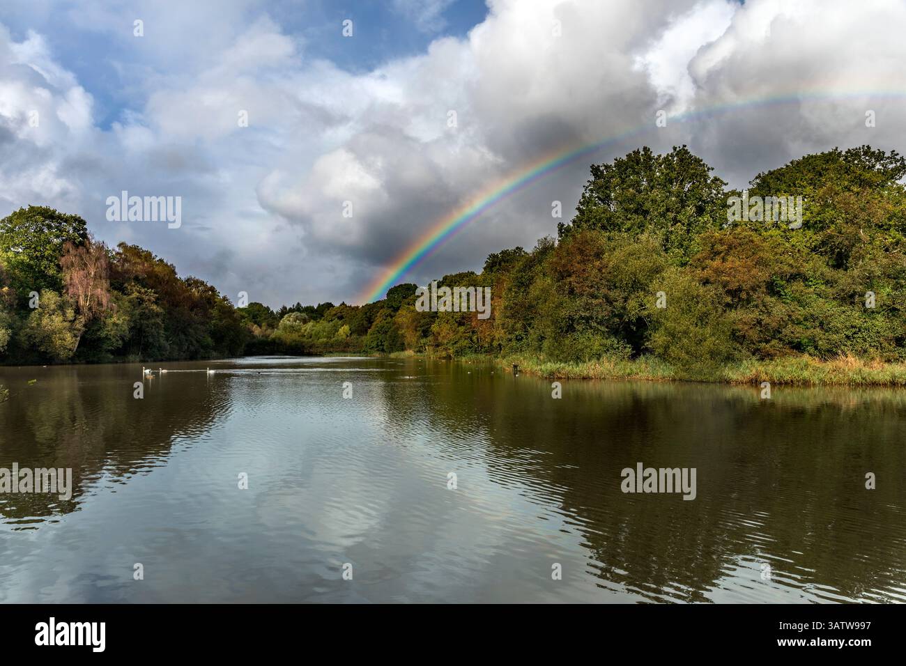 Cannop Ponds; Forest of Dean; Regno Unito Foto Stock