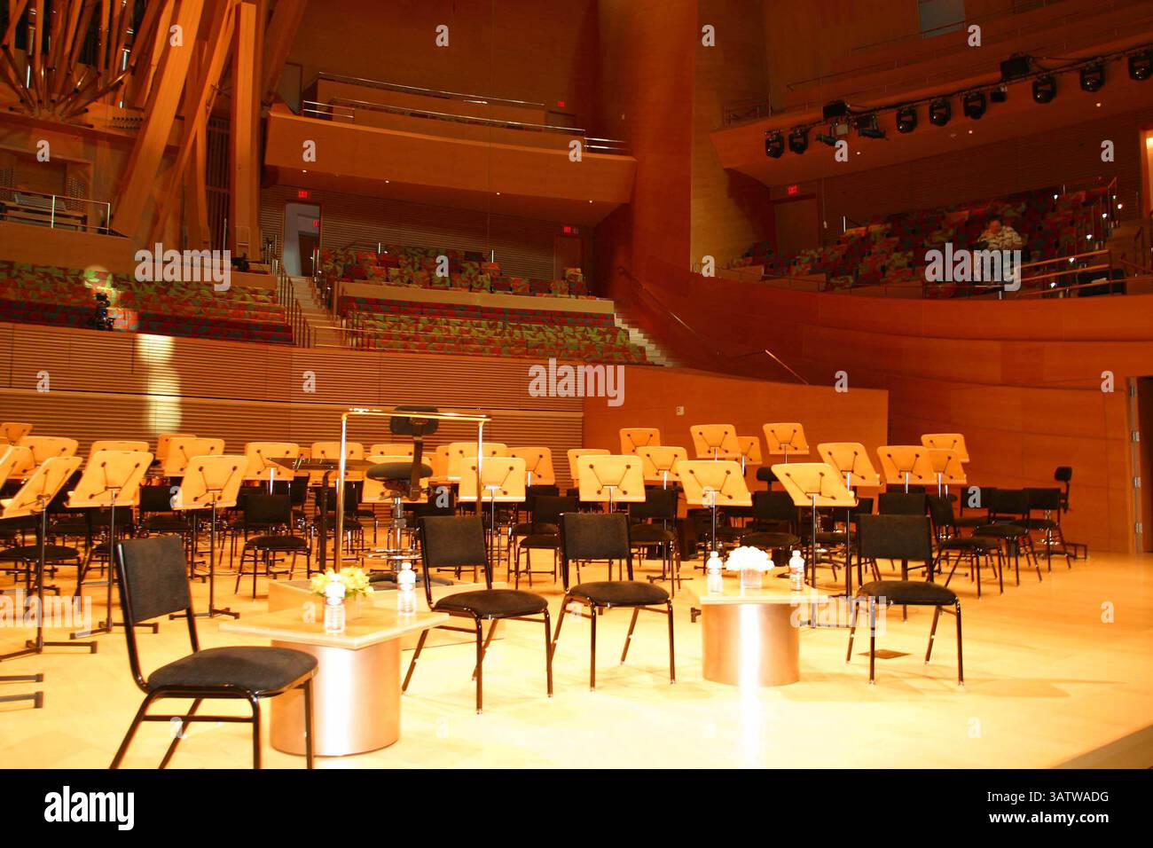 22 ottobre 2003 - Los Angeles, CA, Stati Uniti - K33568MR . WALT DISNEY CONCERT HALL - ANTEPRIMA STAMPA DI APERTURA . ALLA WALT DISNEY CONCERT HALL, LOS ANGELES, CA .10/22/2003. MILAN RYBA / 2003 . WALT DISNEY CONCERT HALL - INTERNI (immagine di credito: © Globe Photos/ZUMAPRESS.com) Foto Stock