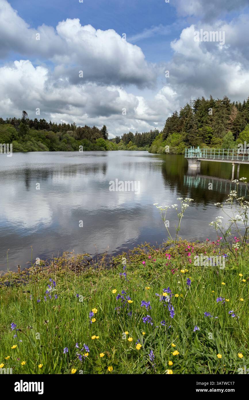 Trenchford Reservoir; Dartmoor; Devon; Regno Unito Foto Stock