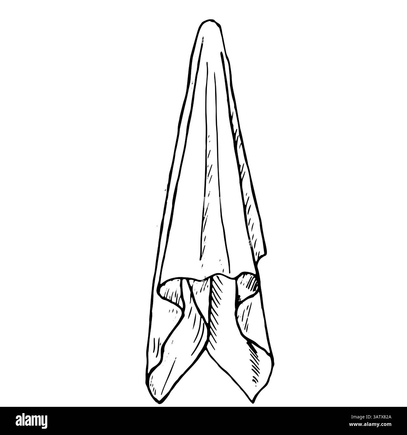 Tovagliolo da cucina appeso, schizzo bianco e nero. Illustrazione vettoriale. Tovagliolo in cotone, isolato su sfondo bianco. Per il tema del cibo, della cucina, cate Illustrazione Vettoriale