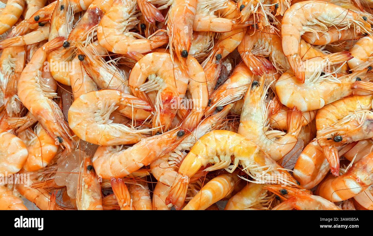 Primi piani di gamberi freschi crudi sul mercato Foto Stock