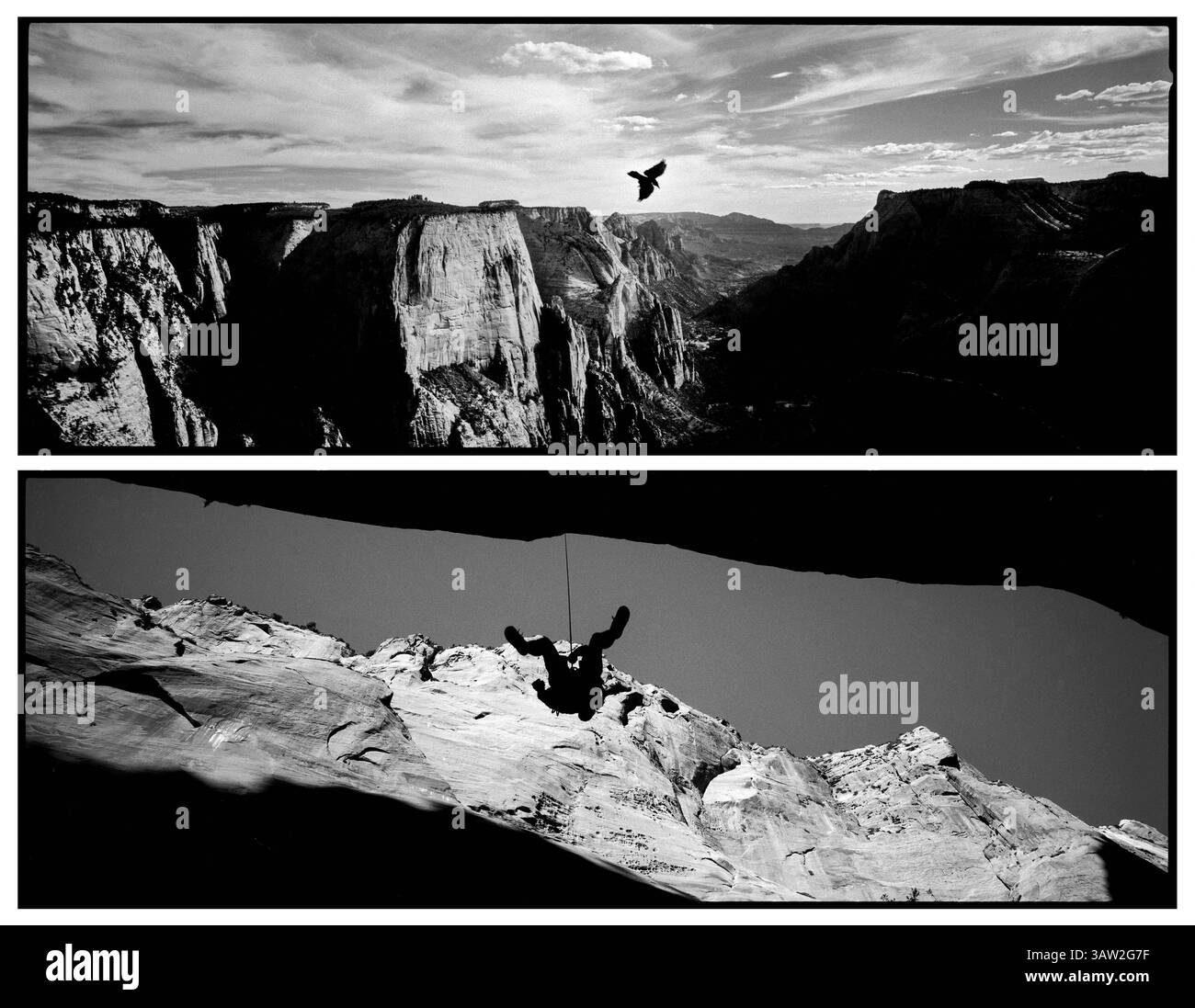 4 aprile 2016 - Utah, Stati Uniti - a più di duemila metri sopra lo Zion Canyon, un uccello passa davanti al punto di osservazione libero di cavalcare le correnti e le correnti d'aria, mentre un arrampicatore è sospeso ma ancora legato a terra nella slot canyon della sezione Kolob Canyons dello Zion National Park. Mentre i nostri parchi nazionali ci danno la libertà di esplorare e spingerci come individui, siamo ancora limitati dalla nostra forma umana e ci ricorda la sua fragilità..Zion National Park artista-in-residence, settembre 2015. (Immagine di credito: © Benjamin Rusnak via ZUMA Wire) Foto Stock