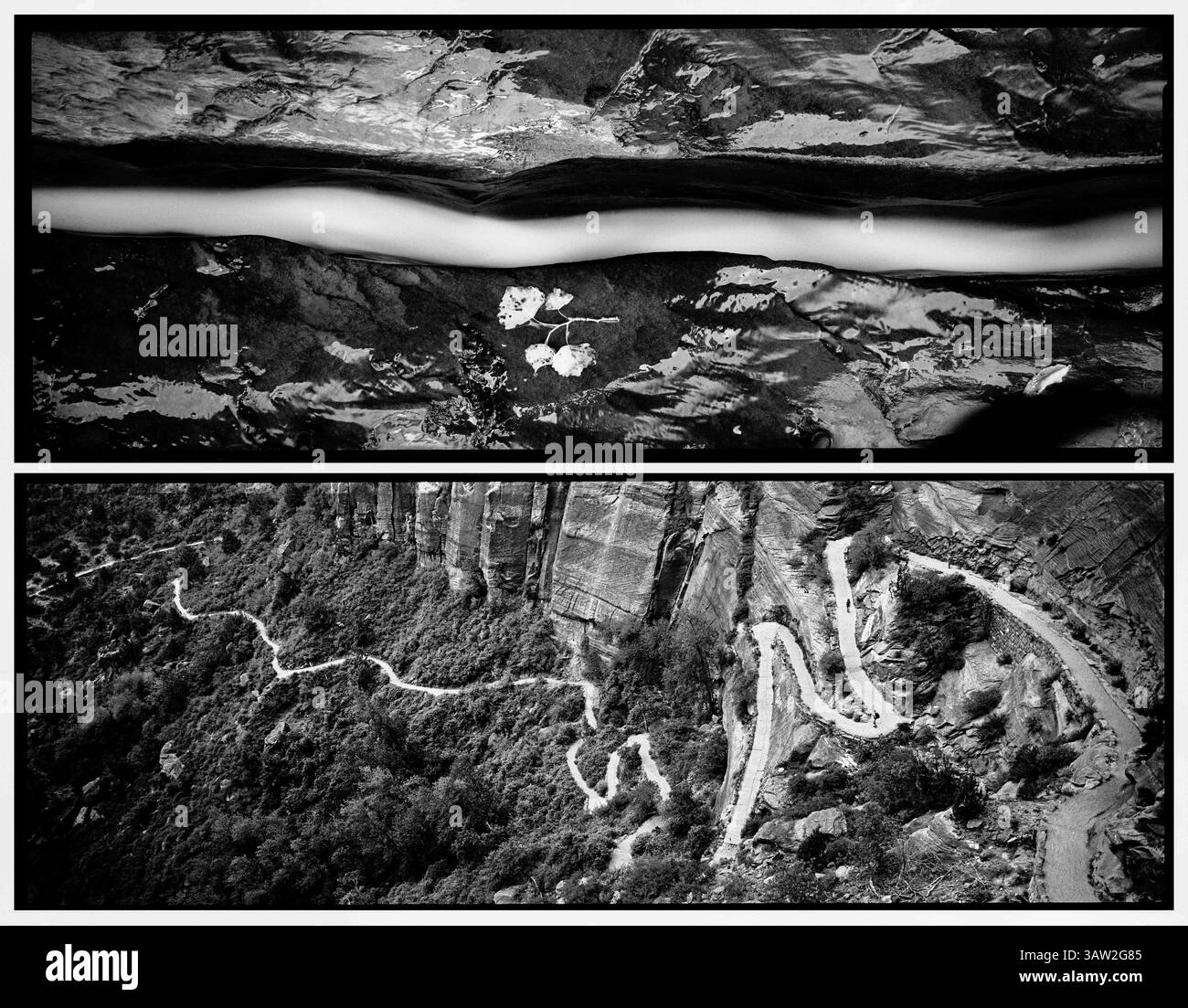 4 aprile 2016 - Utah, Stati Uniti - la forcella sinistra, normalmente larga, è scesa in una crepa nel letto del fiume in una sezione di cento iarde, trovando il percorso più diretto. Il sentiero artificiale per Angel's Landing, una delle escursioni più popolari e insidiose del parco, si snoda verso l'alto, trasportando migliaia di visitatori ogni giorno. Zion National Park, artista in residenza, settembre 2015. (Immagine di credito: © Benjamin Rusnak via ZUMA Wire) Foto Stock