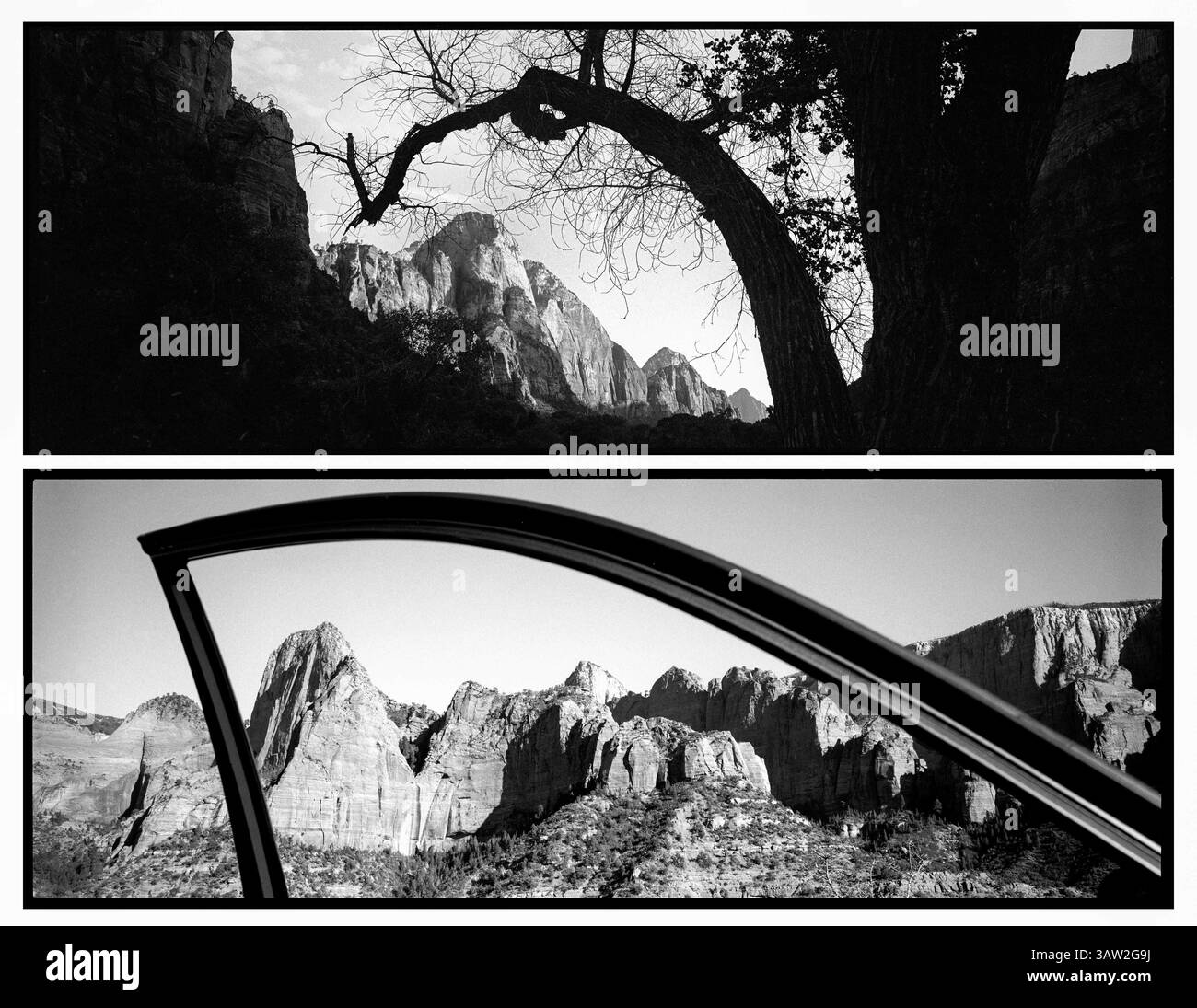 4 aprile 2016 - Utah, Stati Uniti - l'arco naturale di un albero incornicia una vetta nel Canyon di Zion. Nei canyon Kolob, l'arco della porta di un'auto incornicia la vista, che è il numero di persone che vivono i nostri parchi, dalla loro auto. Zion National Park artista-in-residence, settembre 2015. (Immagine di credito: © Benjamin Rusnak via ZUMA Wire) Foto Stock