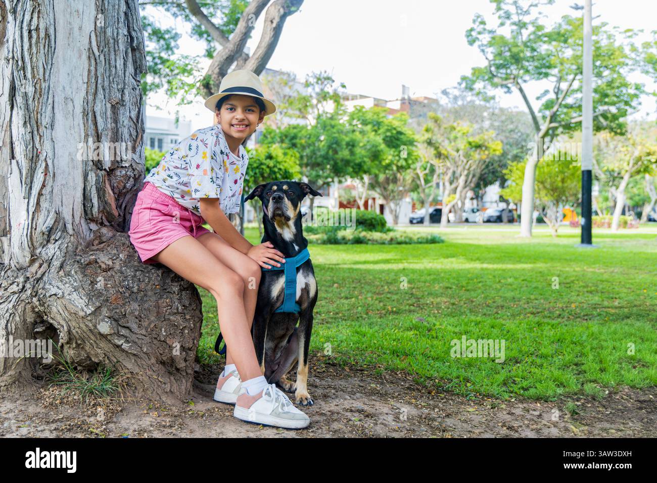 Una giovane ragazza siede su un ceppo di albero con un cane. La ragazza indossa una camicia e pantaloncini rosa. Il cane indossa un'imbracatura blu. La scena è ambientata in un pa Foto Stock Una giovane ragazza siede su un ceppo di albero con un cane. La ragazza indossa una camicia e pantaloncini rosa. Il cane indossa un'imbracatura blu. La scena è ambientata in un pa Foto Stock