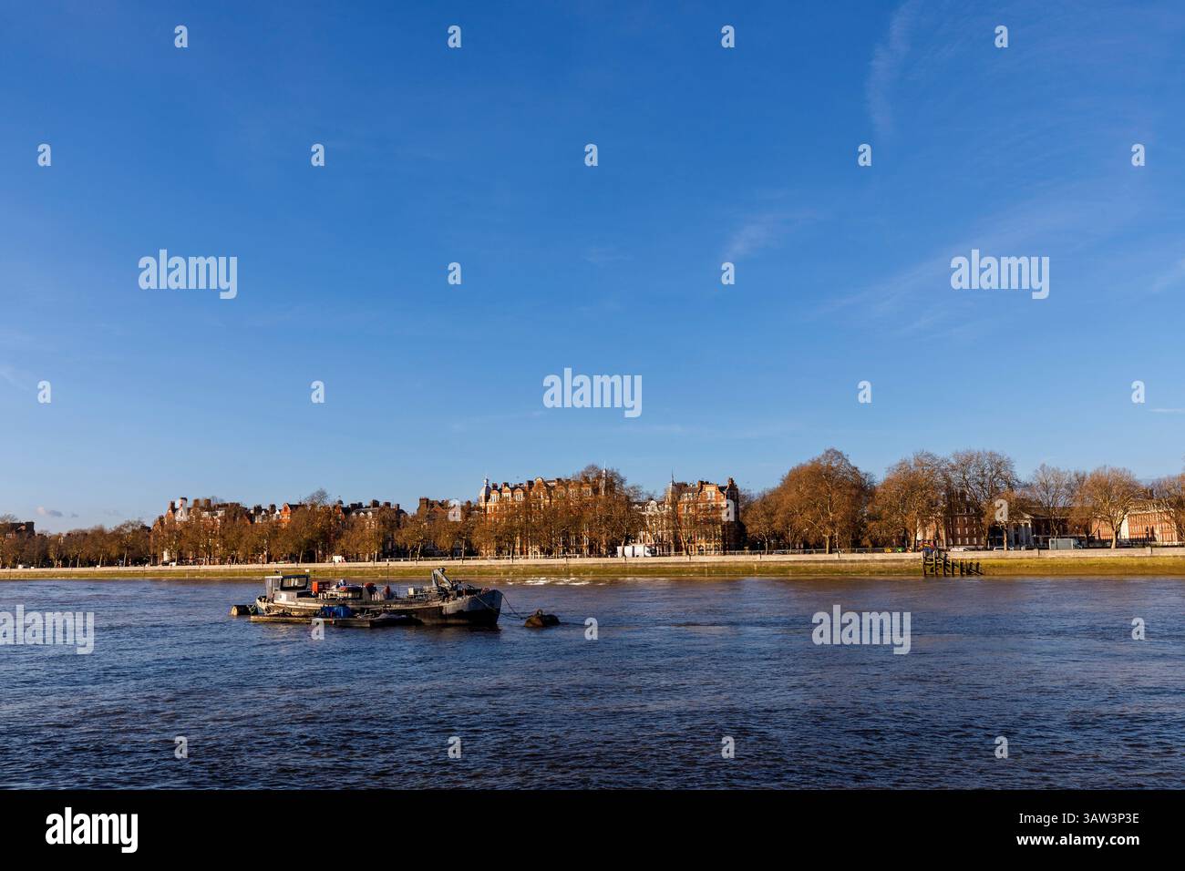 Chelsea terrapieno e fiume Tamigi, Londra, Inghilterra, Regno Unito Foto Stock
