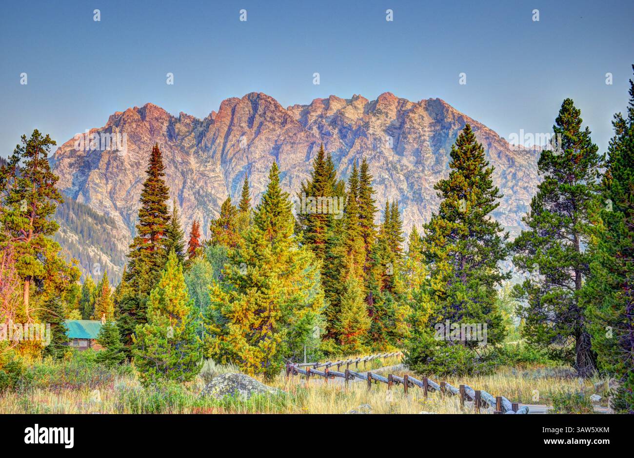 Percorso naturalistico del lago Jenny presso il Grand Teton National Park Moose, Wyoming Foto Stock