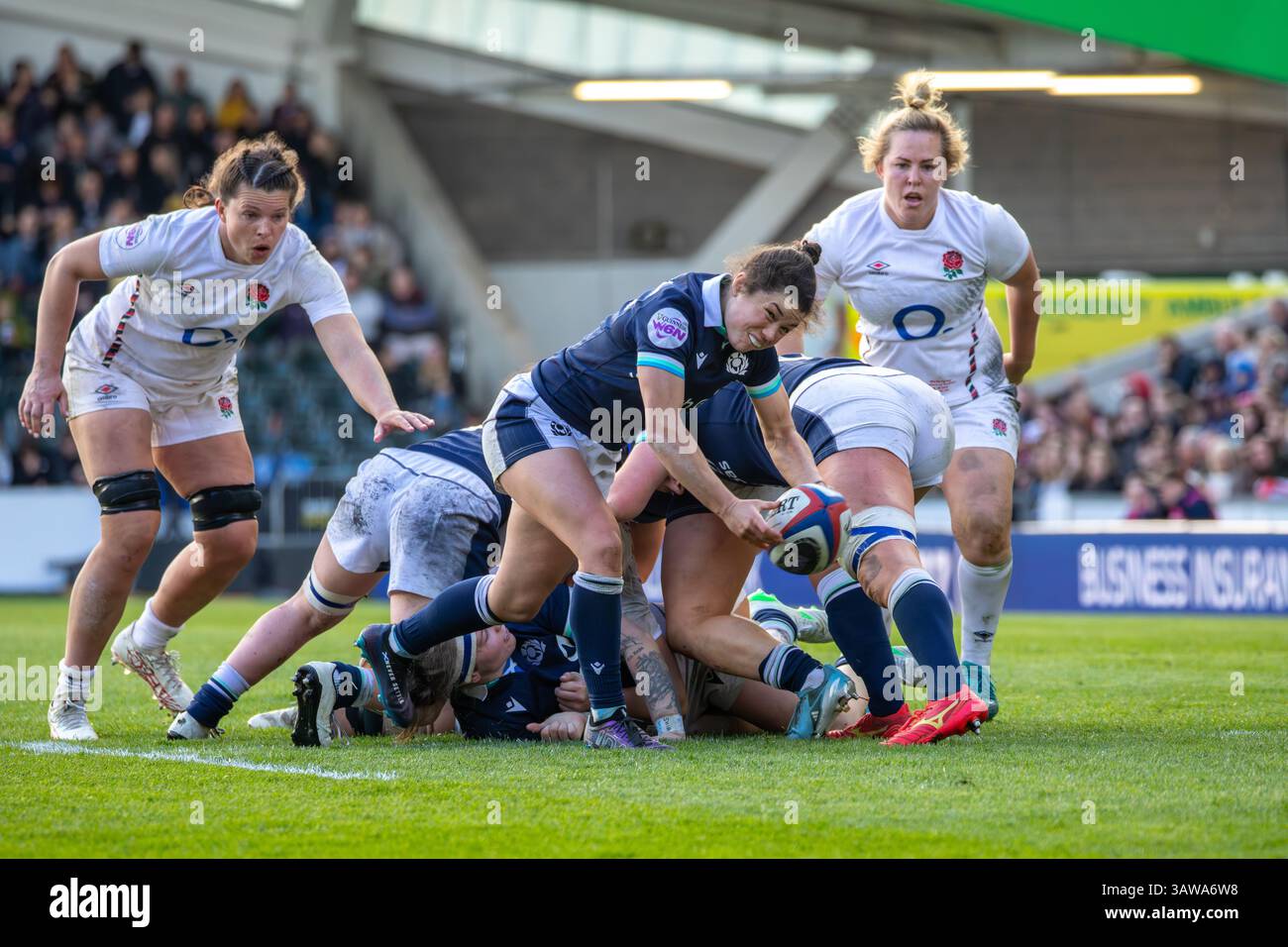 Leicester, Regno Unito, 19 aprile 2025 Scoltand scrum Half Caity Mattinson passa da un solco nel Women's Six Nations al Mattioli Woods Welford Road Stadium, Leicester, Regno Unito. Alex Williams / Alamy Live News Foto Stock