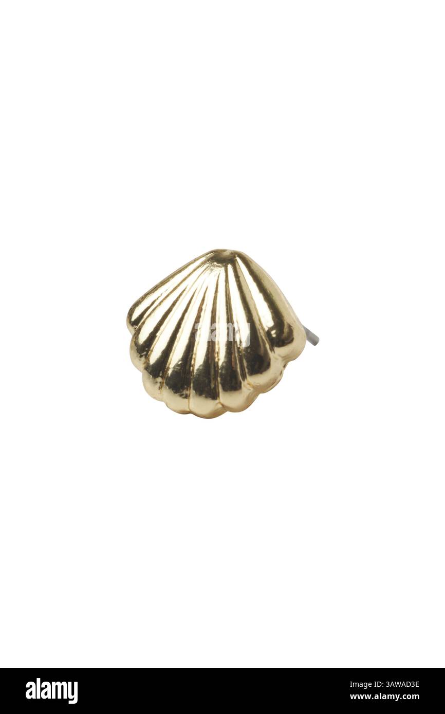 Orecchini a bottone con conchiglia dorata e isolata su sfondo bianco. Questo elegante gioiello è perfetto per la moda Foto Stock