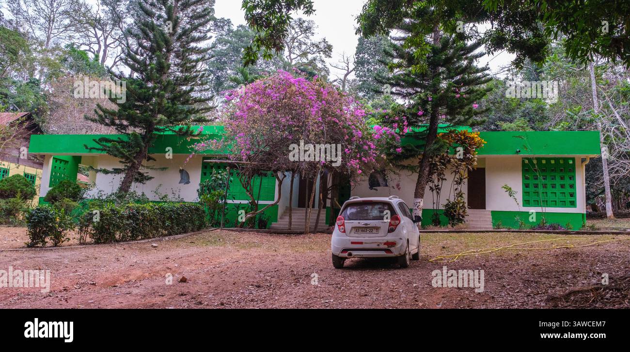 Ghana, Bobiri Forest Reserve e Butterfly Sanctuary Guest House. Foto Stock