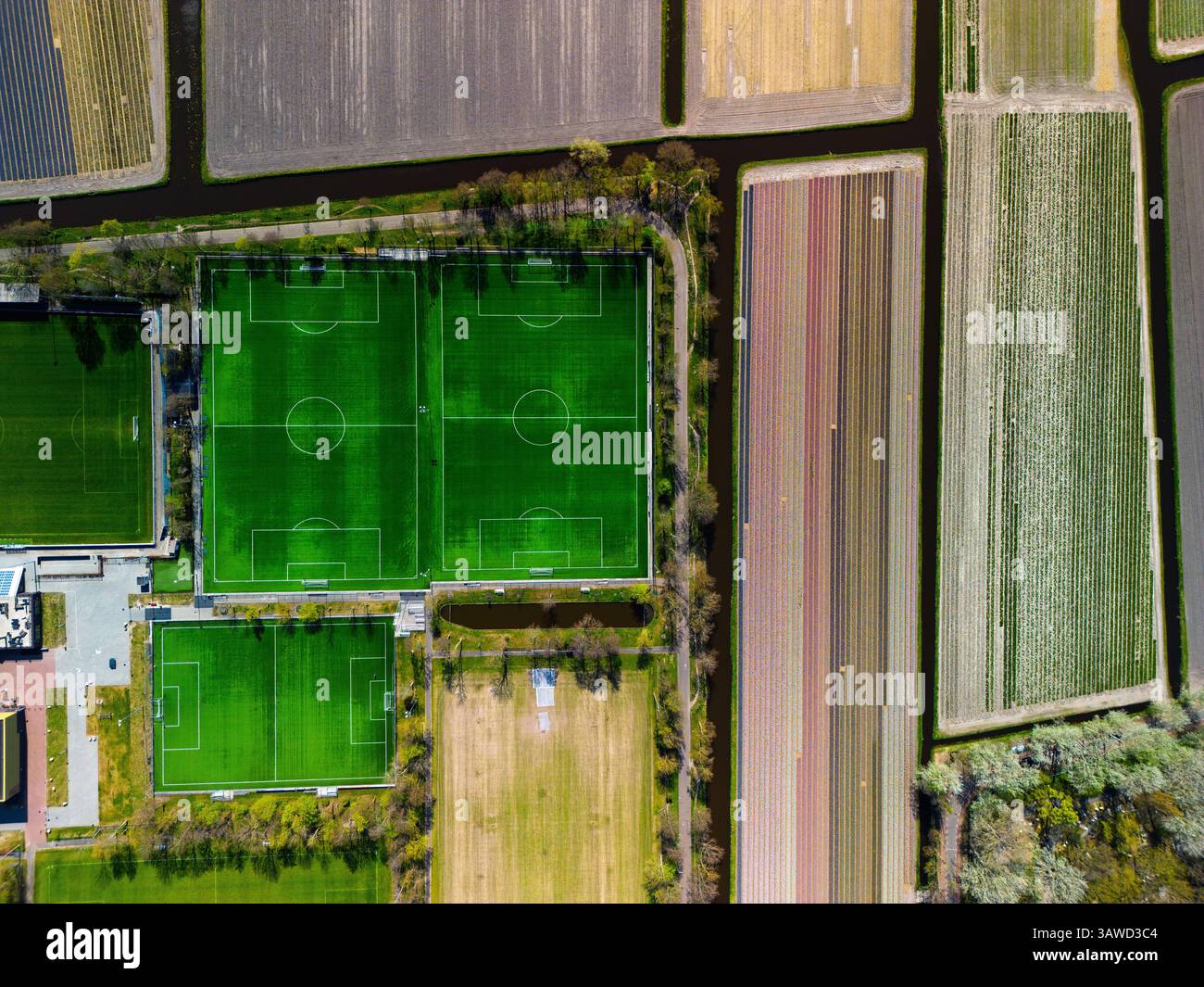 Una vista aerea dall'alto verso il basso di diversi campi da calcio circondati da fiorenti campi di tulipani e stretti canali, che fondono infrastrutture sportive con il Colo Foto Stock