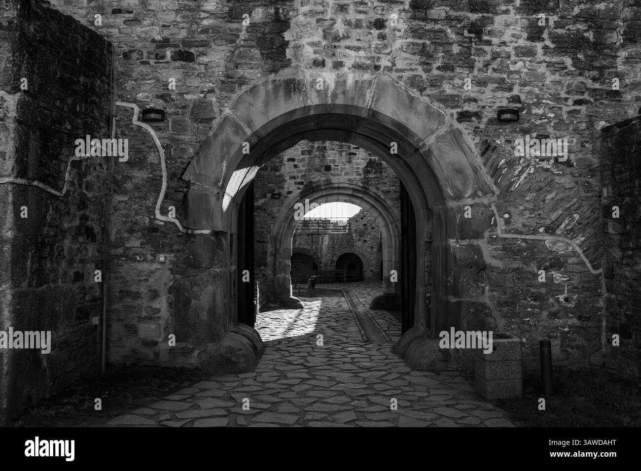 Castello di Suceava, Bucovina, Romania Foto Stock