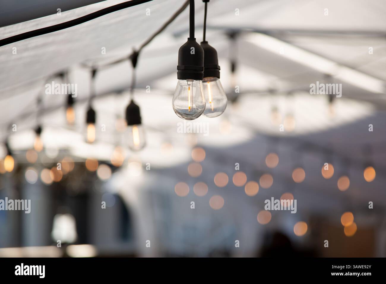 Una vista delle lampadine in stile vintage appese all'interno di una tenda in stile evento. Foto Stock