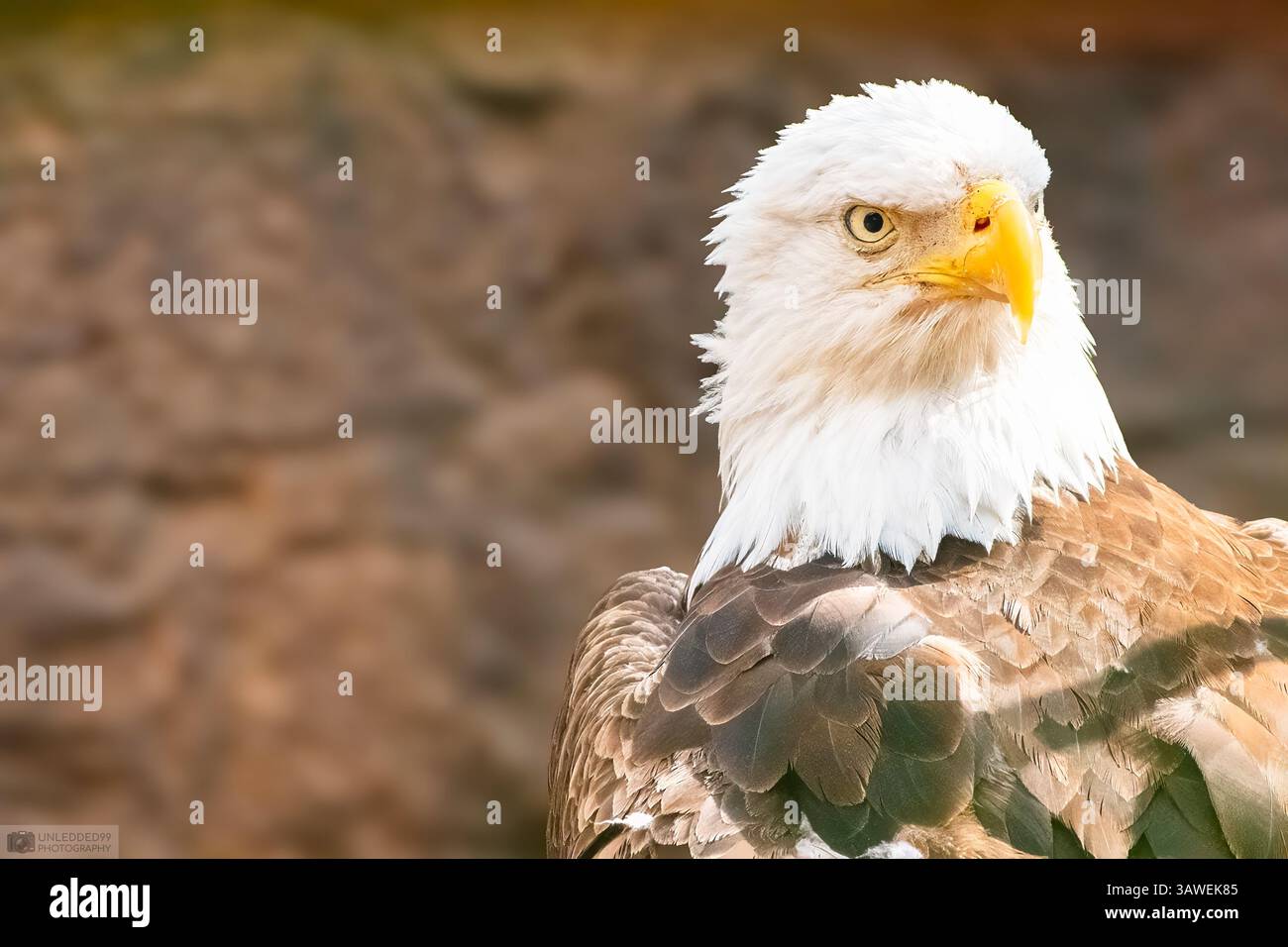 Attenzione! Foto Stock