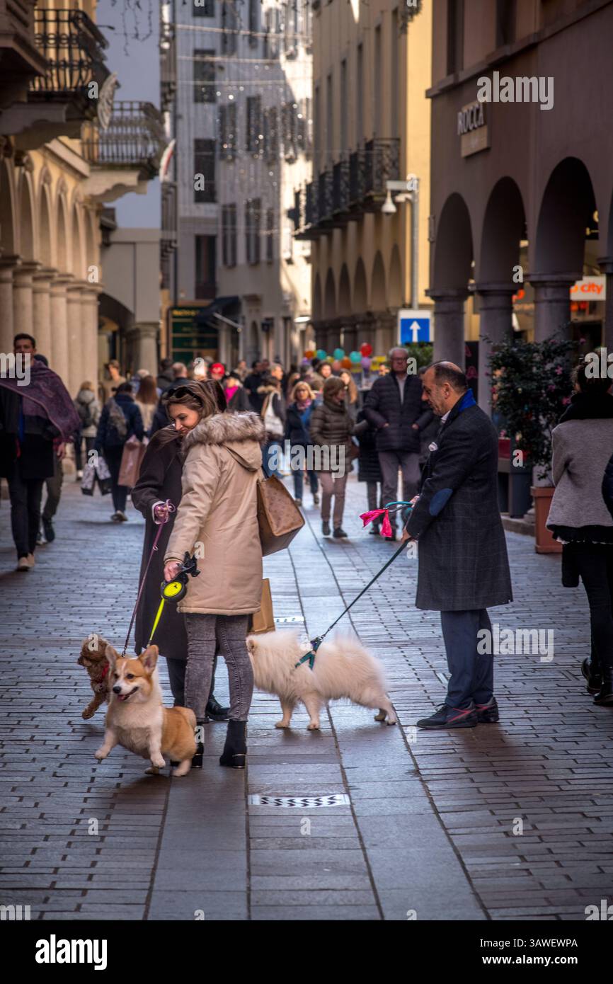 Scena di strada generale con gente che si gode le strade del centro di Lugano, Ticino, Svizzera. I cani sono animali domestici popolari in Svizzera e quindi è uno spettacolo comune vedere le persone camminare con i loro cani. Solo per uso editoriale non critico. Foto Stock