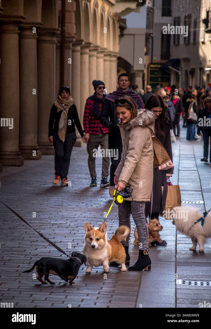 Scena di strada generale con gente che si gode le strade del centro di Lugano, Ticino, Svizzera. I cani sono animali domestici popolari in Svizzera e quindi è uno spettacolo comune vedere le persone camminare con i loro cani. Solo per uso editoriale non critico. Foto Stock