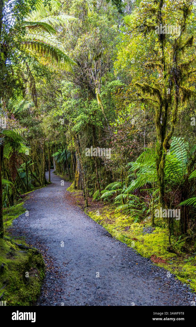 Paesaggio panoramico sul fiume Clearwater, sul lago Matheson e percorso pedonale nel ghiacciaio Fox, South Island, nuova Zelanda Foto Stock