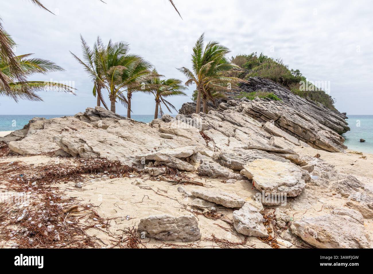 Una formazione rocciosa scenografica sorge vicino a una spiaggia di sabbia bianca circondata da palme da cocco su un'isola di Isla Gigantes, Iloilo, Filippine Foto Stock