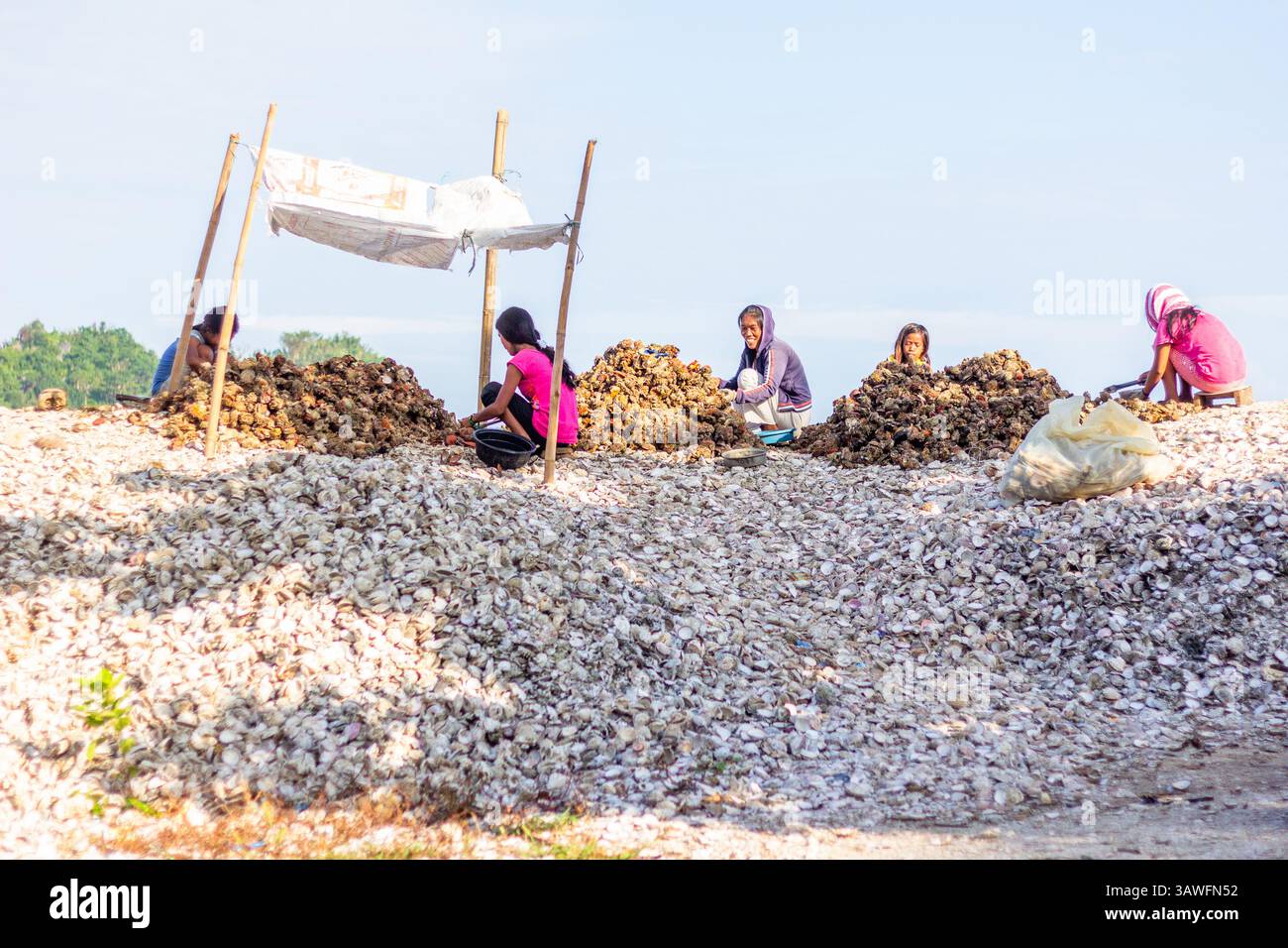 I pescatori locali di Iloilo, Filippine, estraggono a mano la carne commestibile dalle conchiglie di capesante, preparando il pescato fresco per la vendita nei mercati vicini Foto Stock