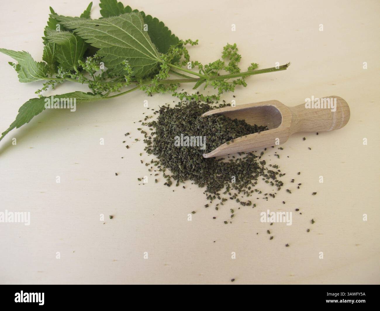 Ortica pungente e semi di ortica essiccati su un asse di legno Foto Stock