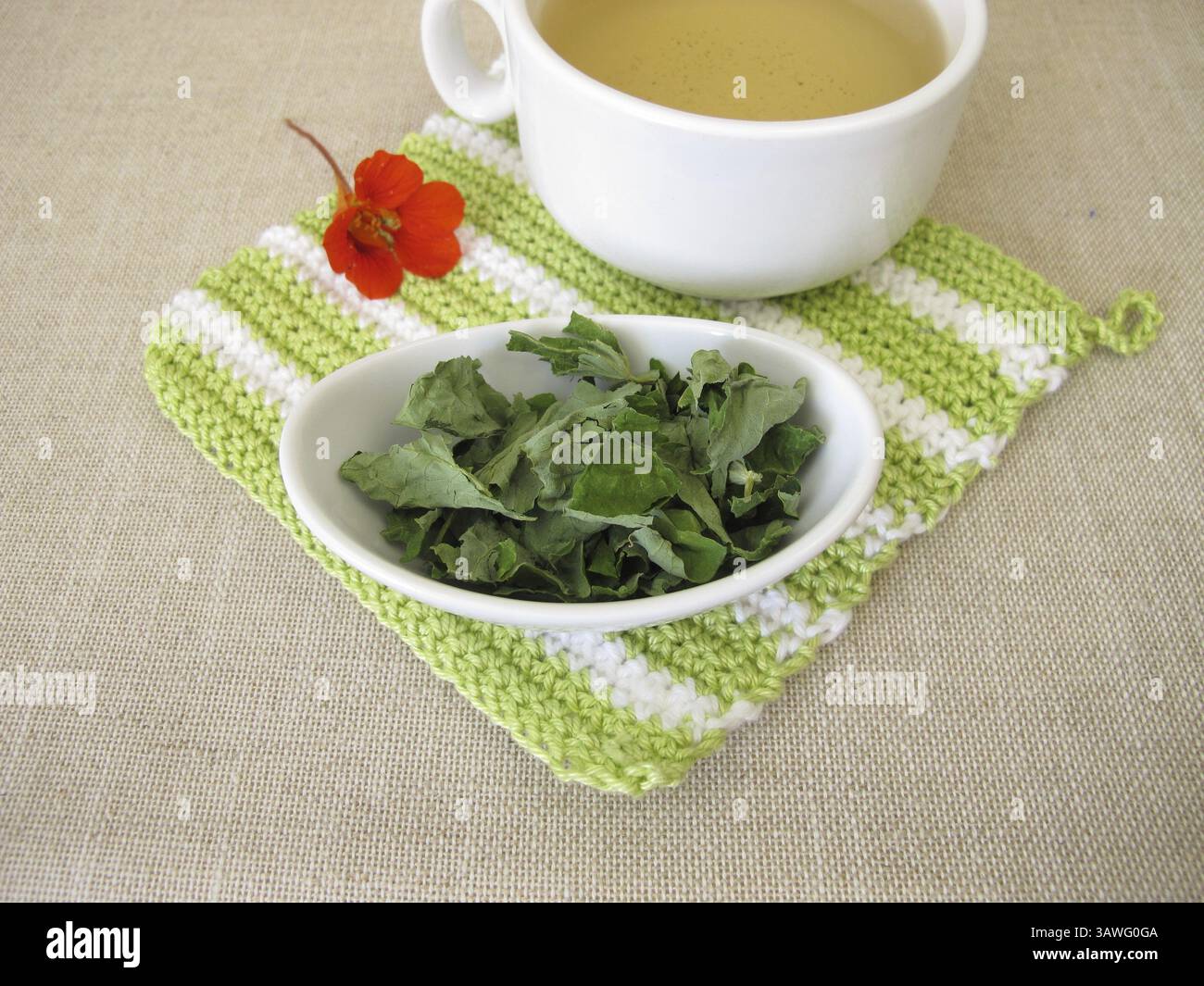 Nasturtium tea, tè a base di foglie di nasturtium essiccate Foto Stock
