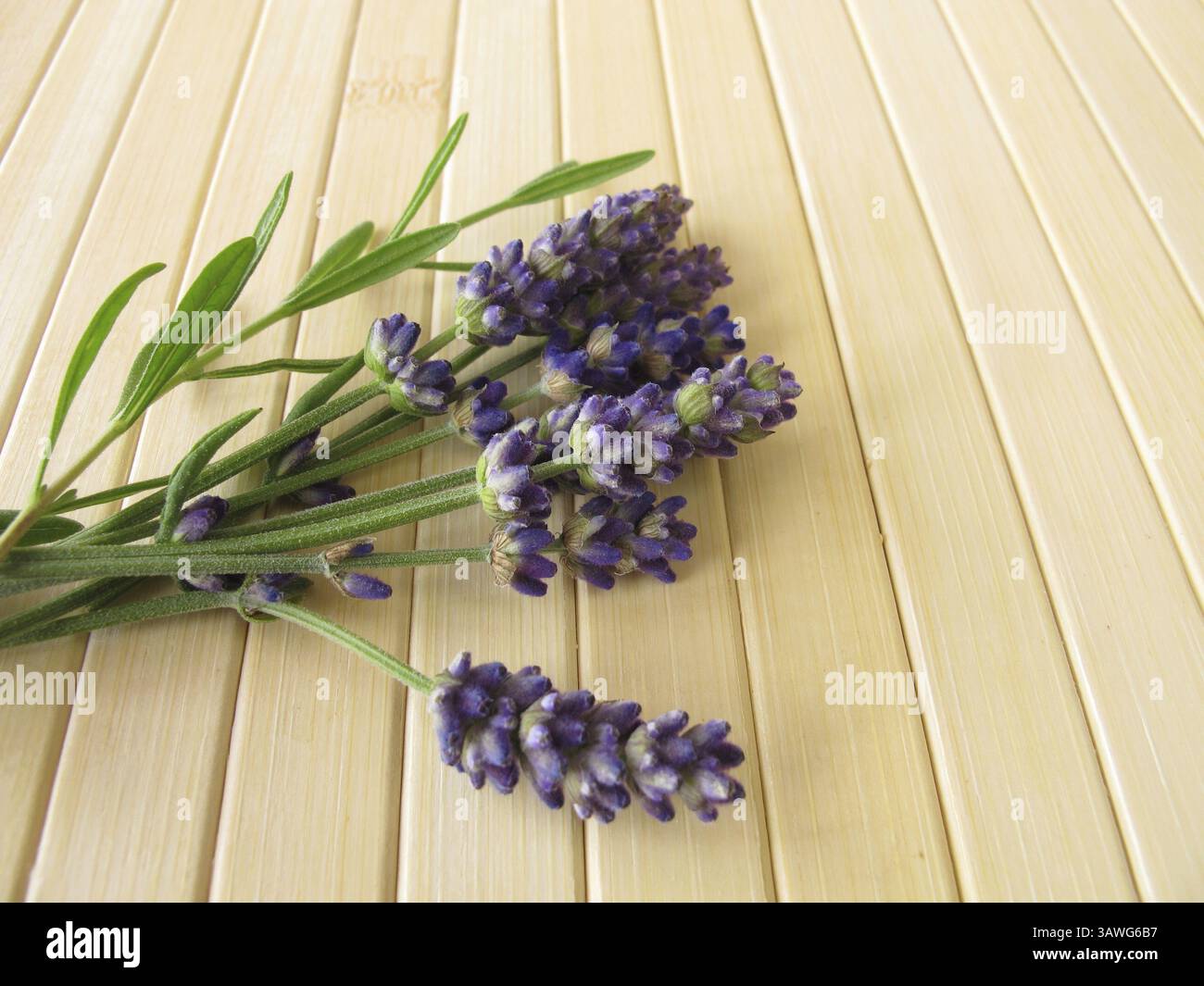Un bouquet di lavanda Foto Stock