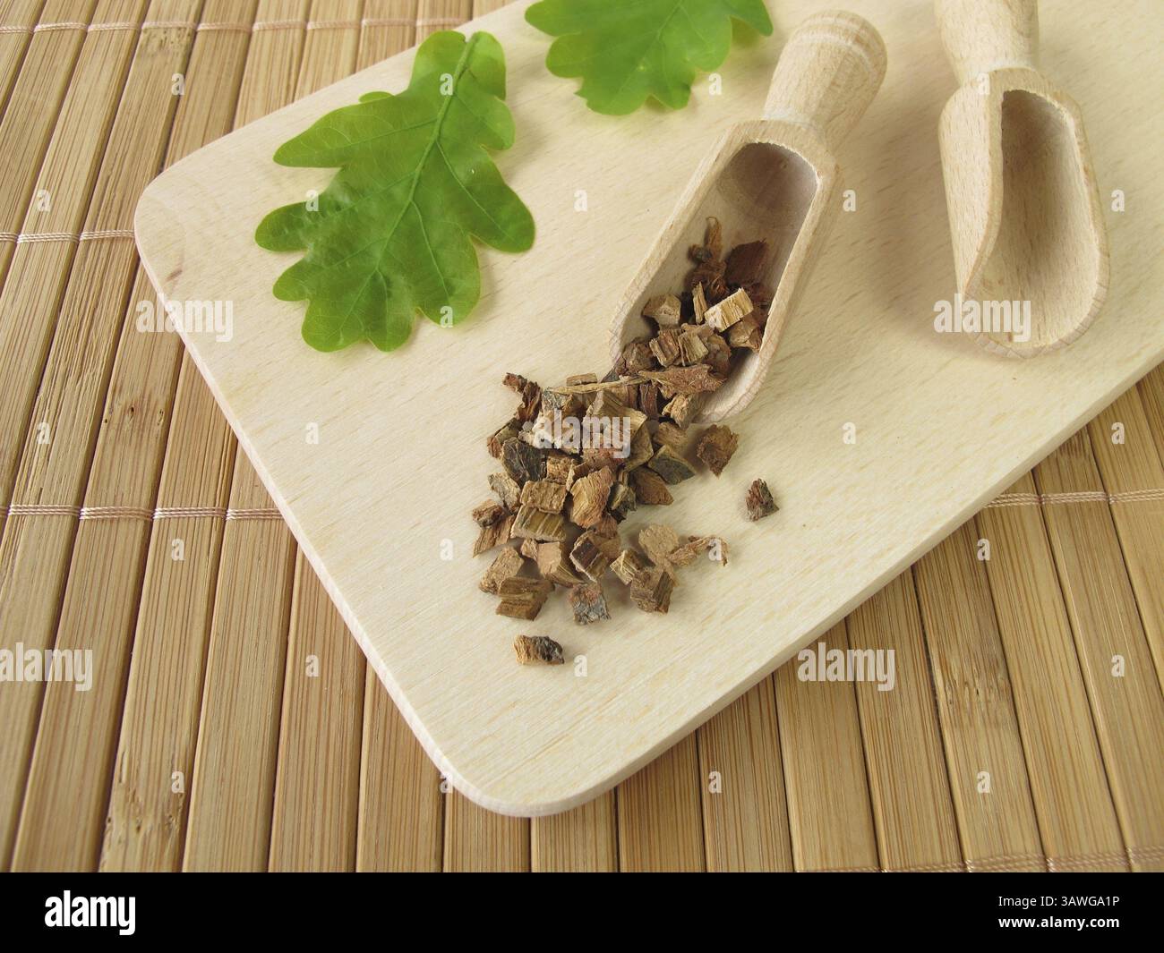 Corteccia di quercia, Quercus Cortex Foto Stock