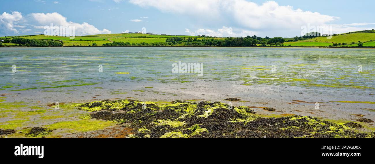 Le acque calme riflettono un vivace paesaggio verde sull'isola di Inchydoney, Irlanda. La giornata di sole accentua la bellezza naturale, perfetta per explora all'aperto Foto Stock