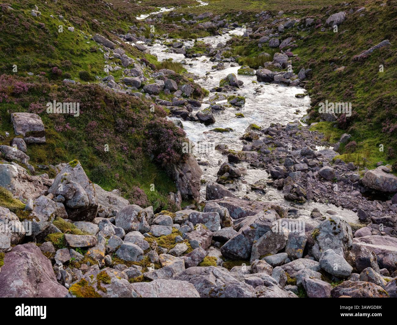 Un tranquillo fiume si snoda attraverso un paesaggio roccioso in Irlanda. Le colline circostanti sono adornate da una vibrante vegetazione, creando una pittoresca e naturale Foto Stock