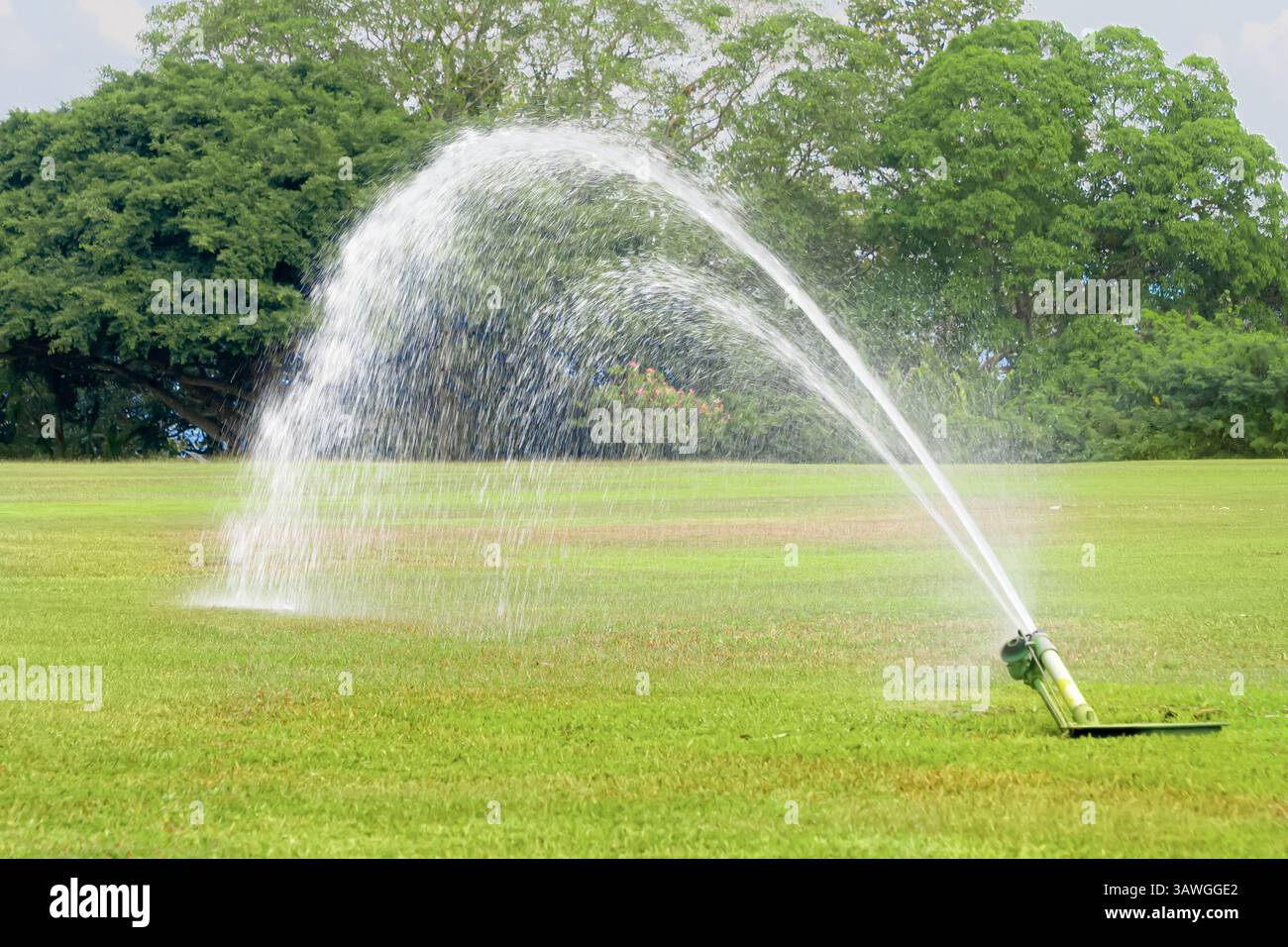 Un sistema di irrigazione del prato con buona pressione dell'acqua in un campo verde e fresco con erba verde brillante rifilata. Parco pubblico o campo da golf in estate Foto Stock