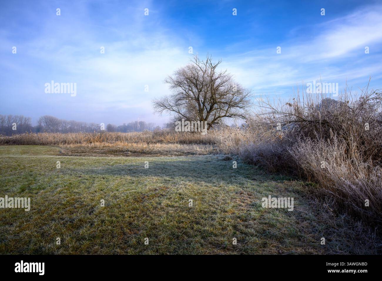 Panorama invernale in un'area paesaggistica protetta chiamata Goachat vicino a Schrobenhausen (Baviera, Germania) Foto Stock