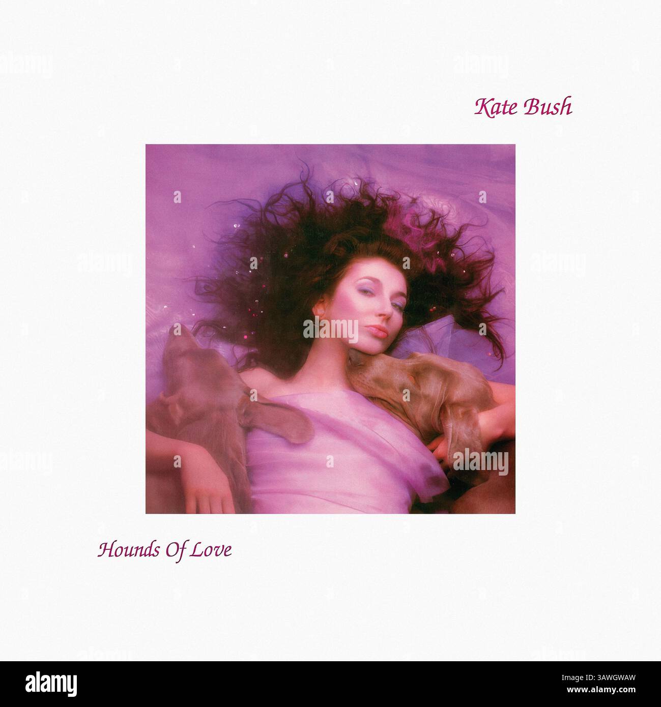 Kate Bush - Hounds of Love - copertina in vinile vintage Foto Stock