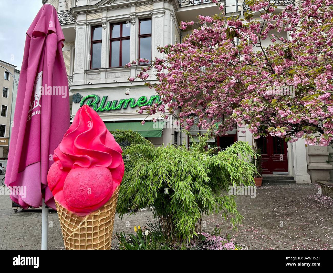 Un negozio di fiori e una gelateria sotto la fioritura di un ciliegio in primavera, Kreuzberg, Berlino - Immagine stock catturata con smartphone