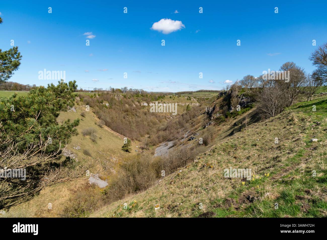 Deep Dale vicino a Buxton, Peak District, Derbyshire, Inghilterra. Foto Stock
