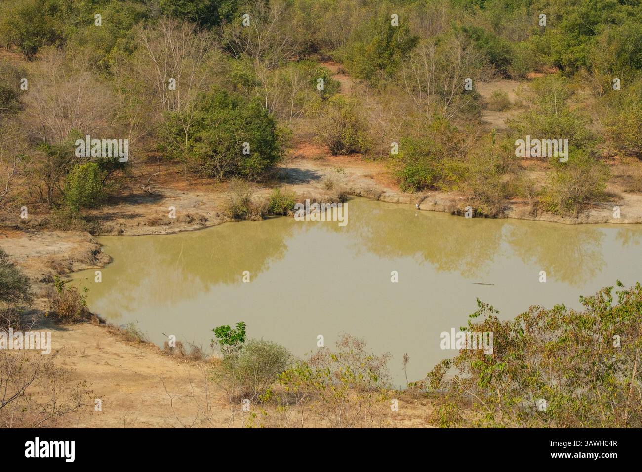 Ghana, Parco Nazionale delle Mole. Vista del Water Hole a metà pomeriggio dalla terrazza Zaina Lodge Guest House. Foto Stock